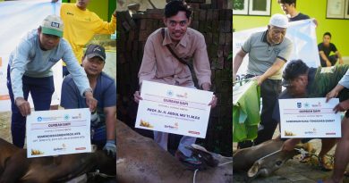 Penyaluran hewan kurban PWM NTB dan Lazismu pada Iduladha 1447 Hijriah di Nusa Tenggara Barat