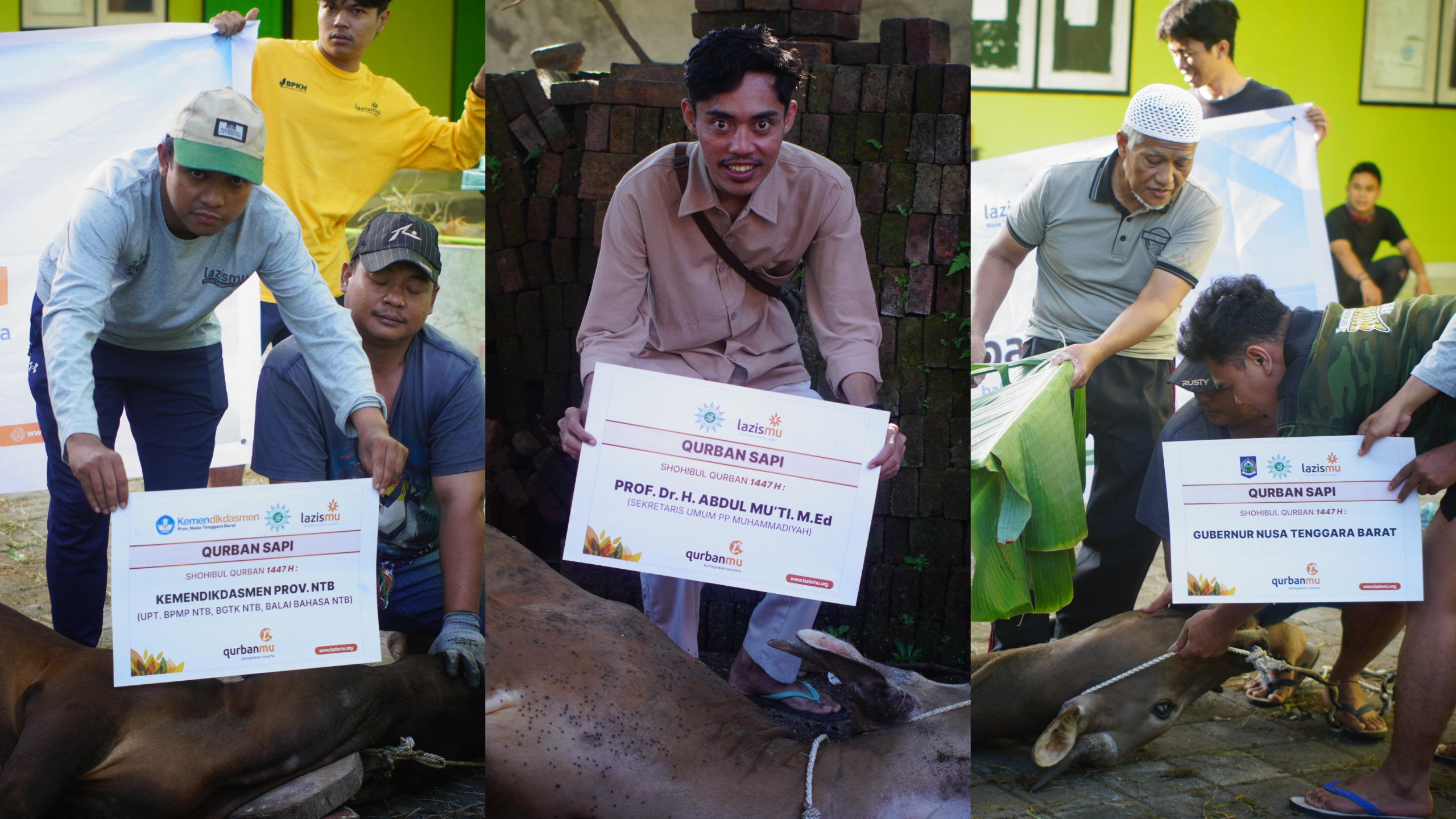 PWM NTB Kuatkan Kepedulian Sosial Melalui Kurban 1447 H: 4 Sapi dan 12 Kambing Disalurkan untuk Masyarakat NTB